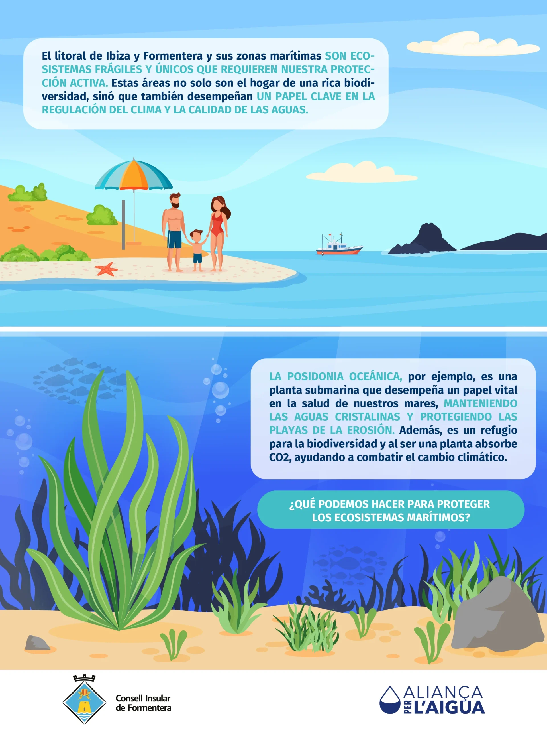 01 Valores Ambientales De Las Zonas Maritimas Y Costeras Intro Web.png Scaled 1 | IBIZA HOLIDAYS 96 SL