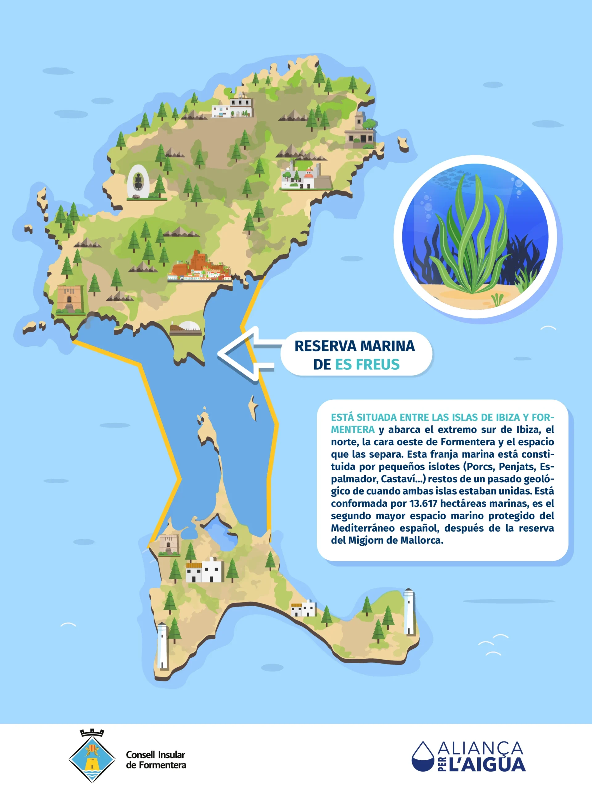 03. Reserva Marina De Es Freus 02.Png Scaled 1 | IBIZA HOLIDAYS 96 SL